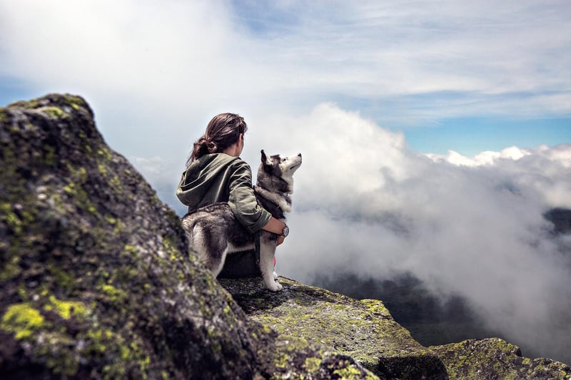 Girl Mountain Nature Adventure