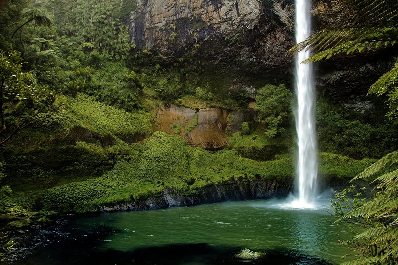 New Zealand Landscape Scenic Tourist